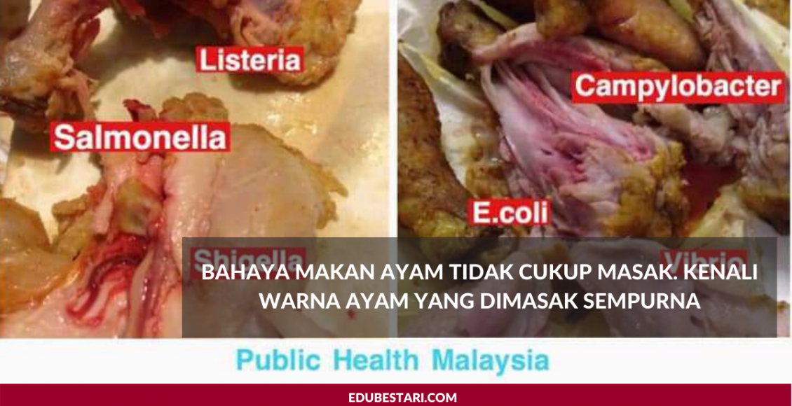 Bahaya Makan Ayam Tidak Cukup Masak. Kenali Warna Ayam Yang Dimasak Sempurna