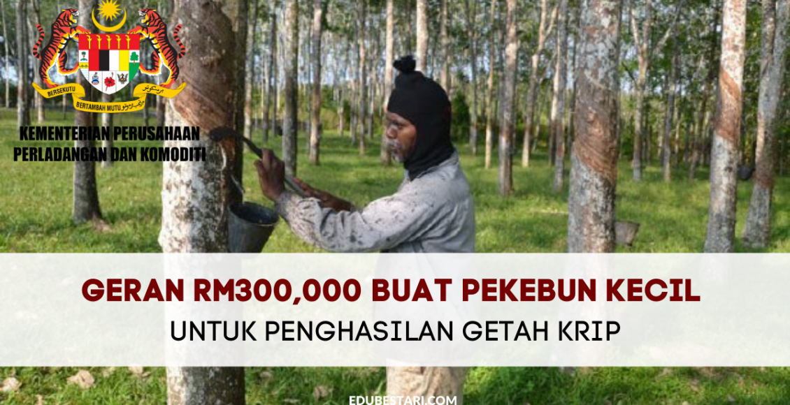Geran RM300,000 Buat Pekebun Kecil Untuk Penghasilan Getah Krip