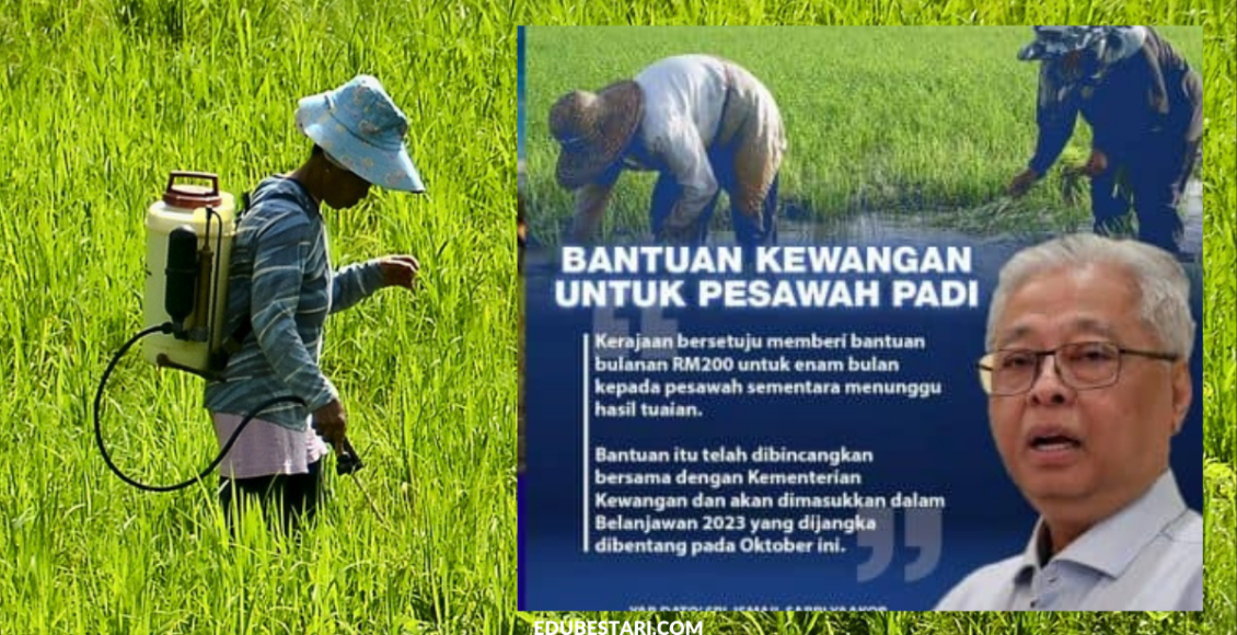 Tawaran Bantuan Pesawah RM200 Setiap Bulan Selama 6 Bulan