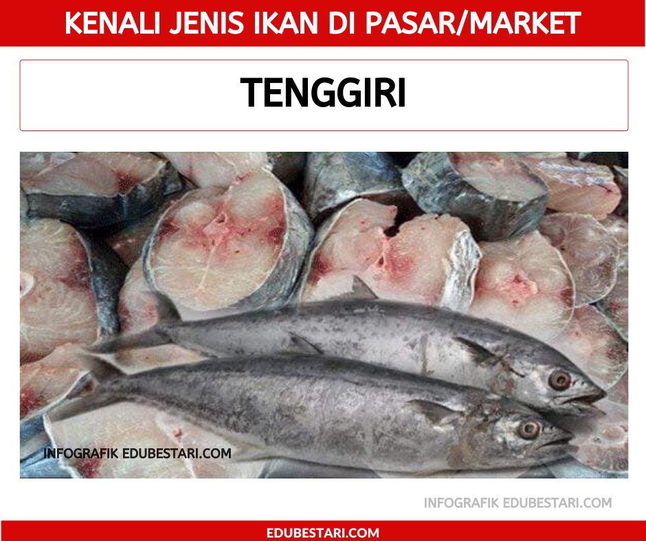 Panduan Bergambar Kenali Jenis Ikan Untuk Ibu Bapa Nanti Mudah Nak Beli Kat Market Edu Bestari