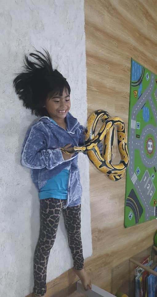 Cara Bawa Haiwan Dari Zoo Ke Dalam Rumah Guna Google, Nampak Real!