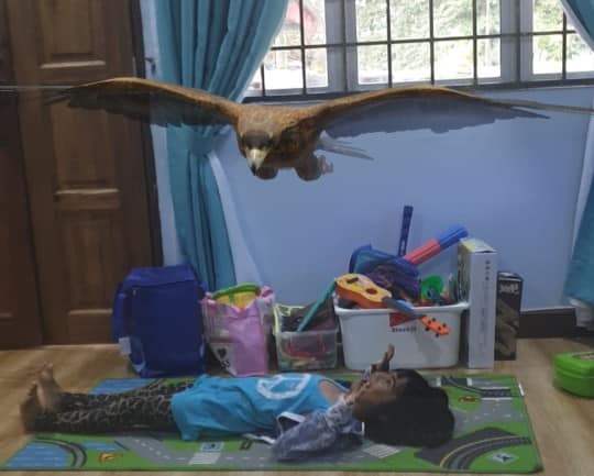 Cara Bawa Haiwan Dari Zoo Ke Dalam Rumah Guna Google, Nampak Real!