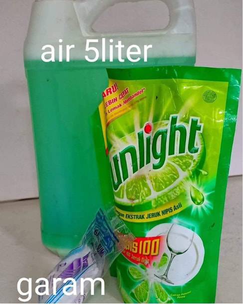 DIY Sabun Tips Gandakan Sabun Cuci Pinggan, Tahan Sampai 5 Bulan Modal Bawah RM10