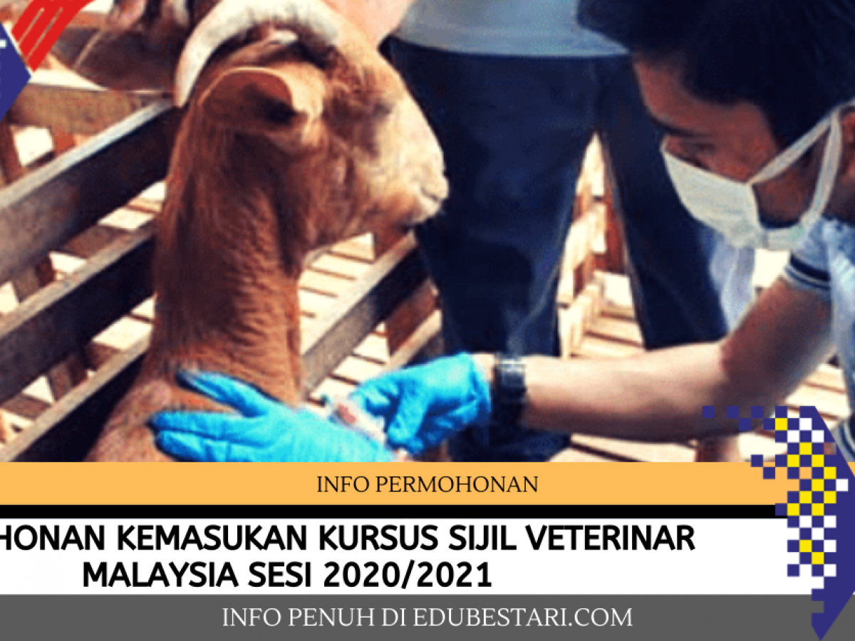 Permohonan Kemasukan Kursus Sijil Veterinar Malaysia Sesi 2020 2021 Edu Bestari