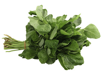 Senarai 10 Makanan Yang Boleh Tingkatkan Imun Diri Dari Serangan Virus!-2