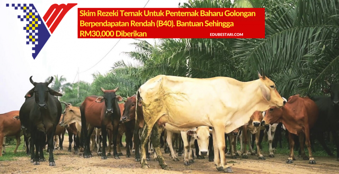 Skim Rezeki Ternak Untuk Penternak Baharu Golongan Berpendapatan Rendah (B40). Bantuan Sehingga RM30,000 Diberikan