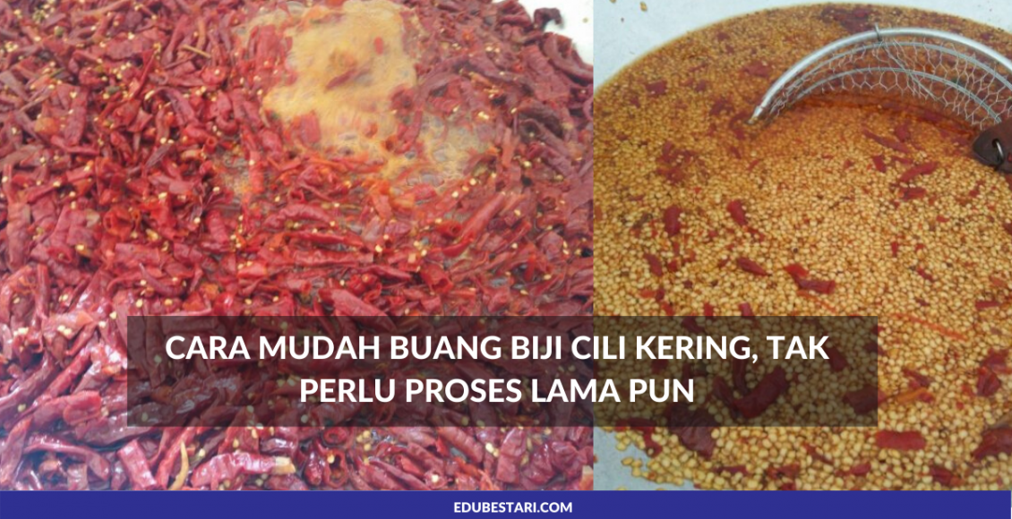 Cara Mudah Buang Biji Cili Kering Tak Perlu Proses Lama Pun Edu Bestari