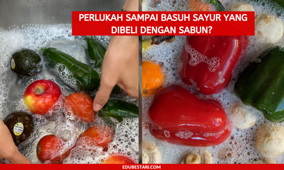 Perlukah Sampai Basuh Sayur Yang Dibeli Dengan Sabun Ini Cara Terbaik Urus Sayur Baru Beli Edu Bestari