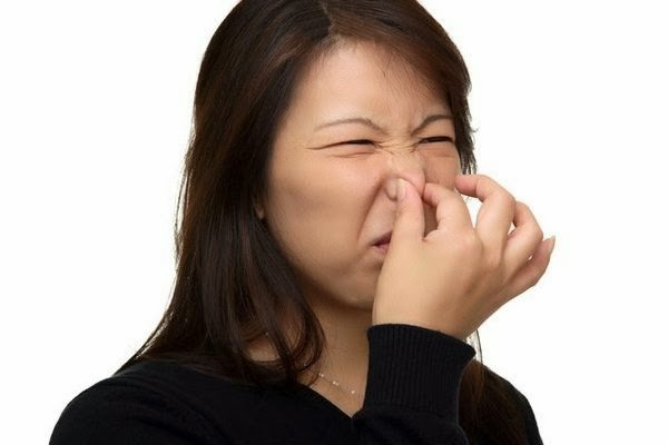 7 Kegunaan Lain Paket Gel Silika Yang Ramai Tak Tahu Pun2