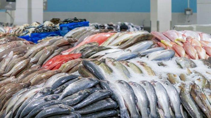 Rupanya Ini Perbezaan Label Tarikh Luput "Baik Sebelum" dan "Guna Sebelum"