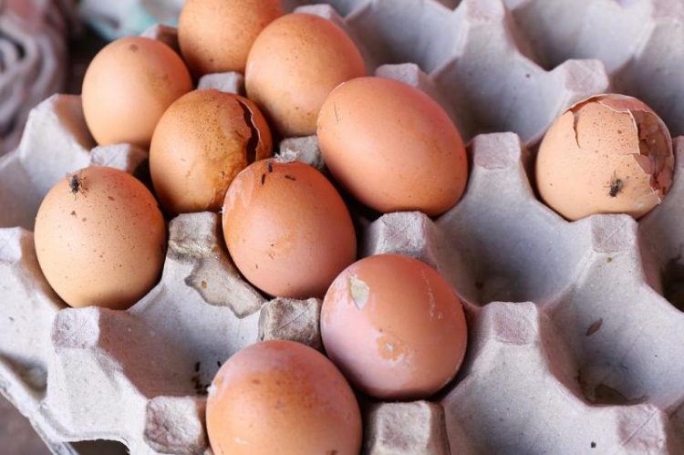 Cara Mudah Kenalpasti Tanda-Tanda Telur Sudah Rosak