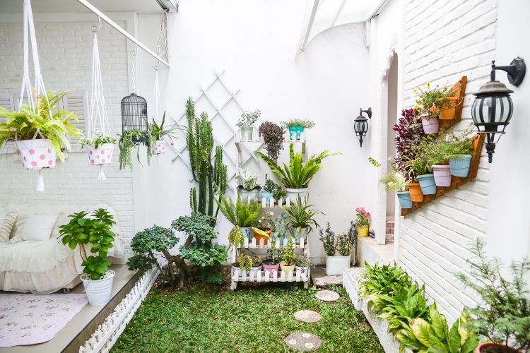 Pakej Bumi Hijau: Mohon Kit Galak Tanam Sayur & Buah Secara Percuma Untuk Penduduk Perak