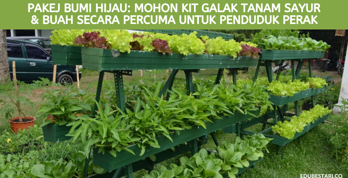 Pakej Bumi Hijau: Mohon Kit Galak Tanam Sayur & Buah Secara Percuma Untuk Penduduk Perak
