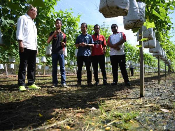 Kisah Kejayaan Pemuda 22 Tahun Mampu Gaji Enam Pekerja