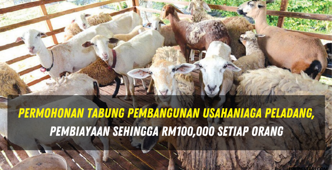 Permohonan Tabung Pembangunan Usahaniaga Peladang(TPUP), Pembiayaan Sehingga RM100,000