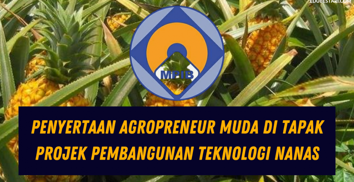 Penyertaan Agropreneur Muda Di Tapak Projek Pembangunan Teknologi Nanas