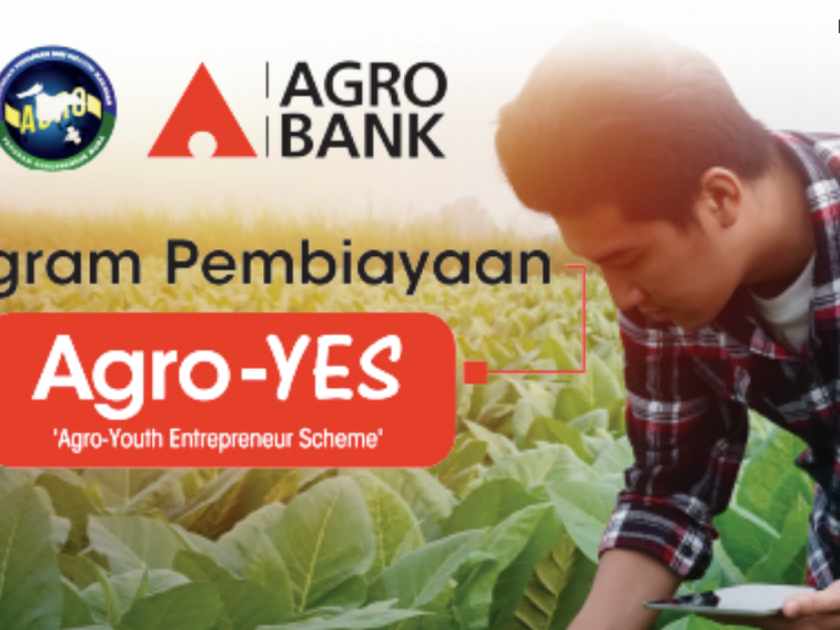 Agro Yes Tawaran Skim Pembiayaan Sehingga Rm500 000 Buat Usahawan Muda Edu Bestari