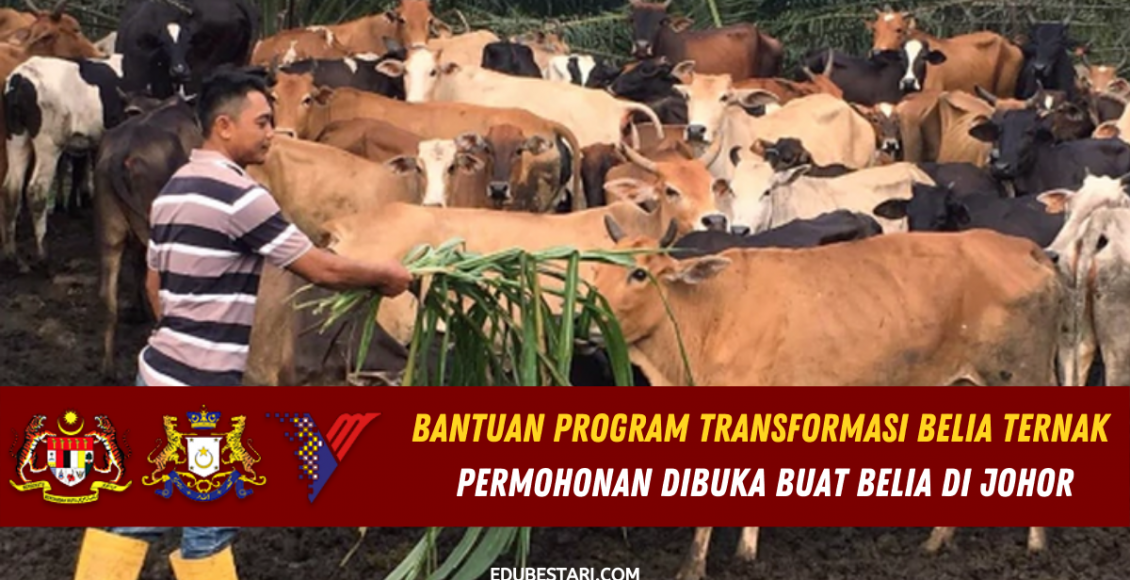 Bantuan Program Transformasi Belia Ternak Permohonan Dibuka Buat Belia Di Johor