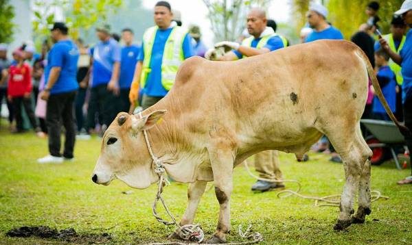 SOP Pelaksanaan Ibadah Korban Di Wilayah Persekutuan Tahun 2021
