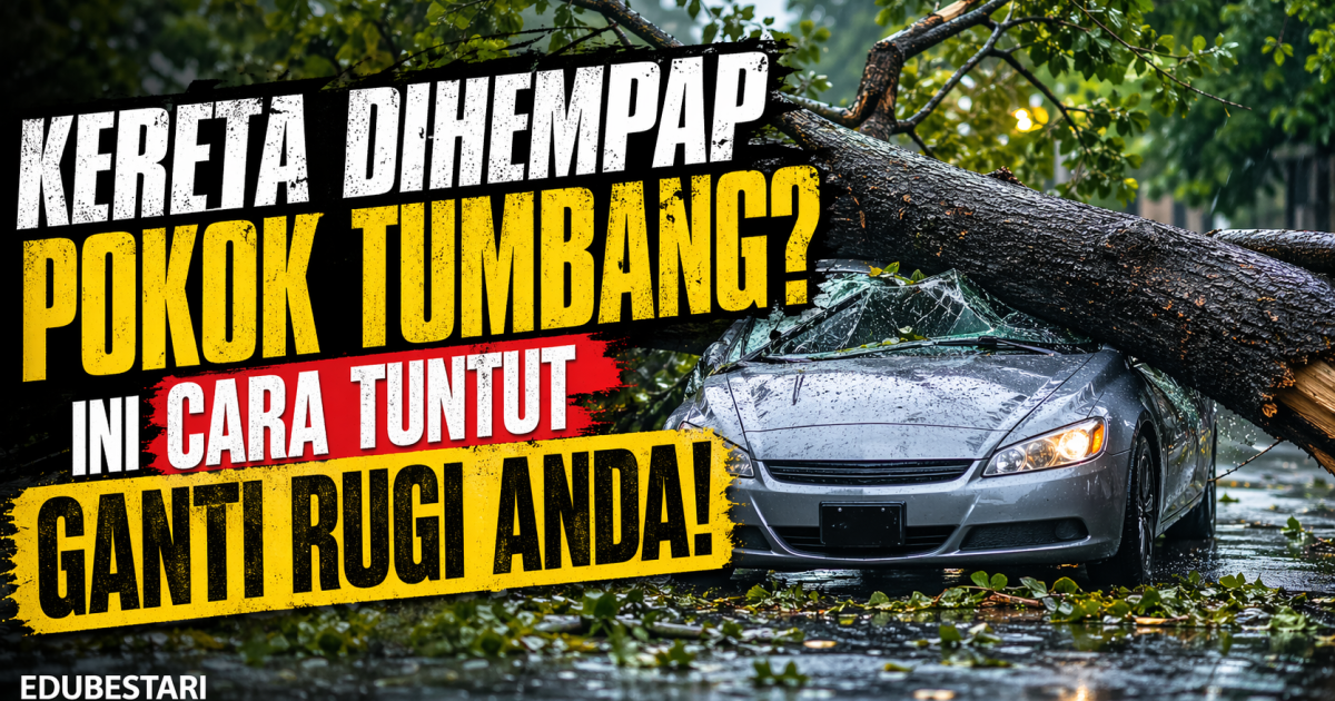 Kereta Dihempap Pokok Tumbang? Ini Cara Buat Tuntutan Ganti Rugi Kepada PBT, JKR Atau Lebuhraya